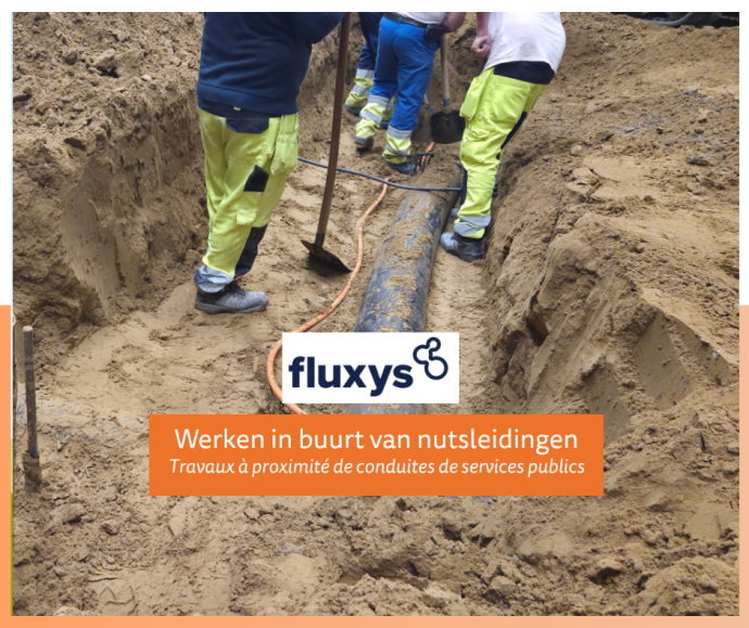 fluxys (1)