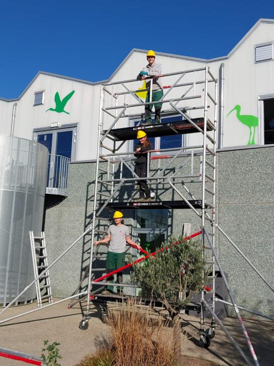 WhatsApp Image 2025 11 07 at 14